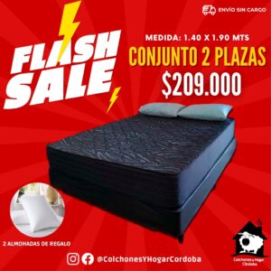Conjunto Nuevo Lujo FLASH 140x190x24