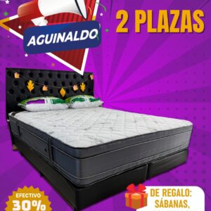 Promo Aguinaldo: Conjunto Dorado Euro Plus de 2 plazas + Sabanas y acolchado!