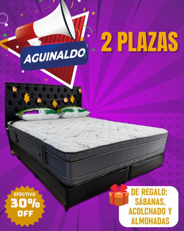 Promo Aguinaldo: Conjunto Dorado Euro Plus de 2 plazas + Sabanas y acolchado!