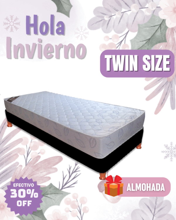 Conjunto Familiar 100x190x20
