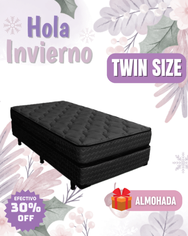 Conjunto Nuevo Lujo 100x190x24