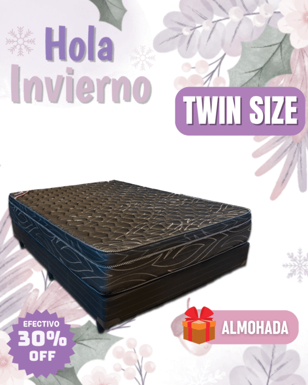 Conjunto Terral Resortes 100x190x23