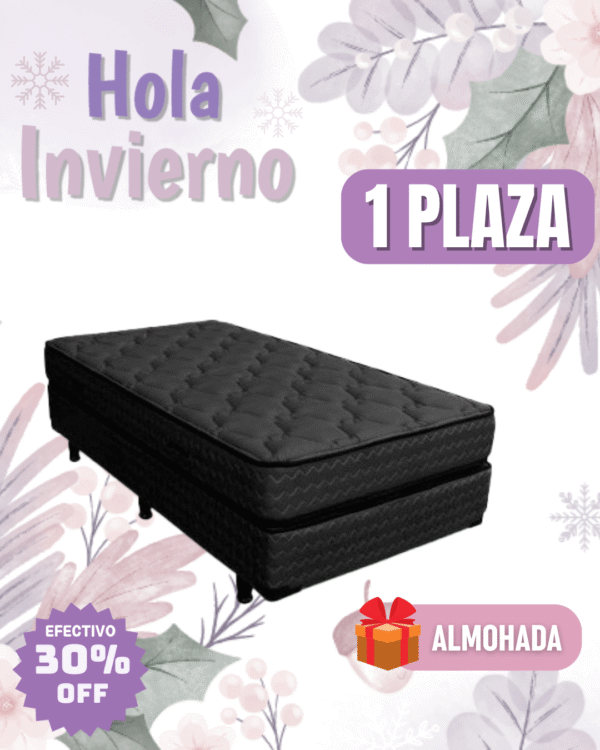 Conjunto Nuevo Lujo 80x190x24