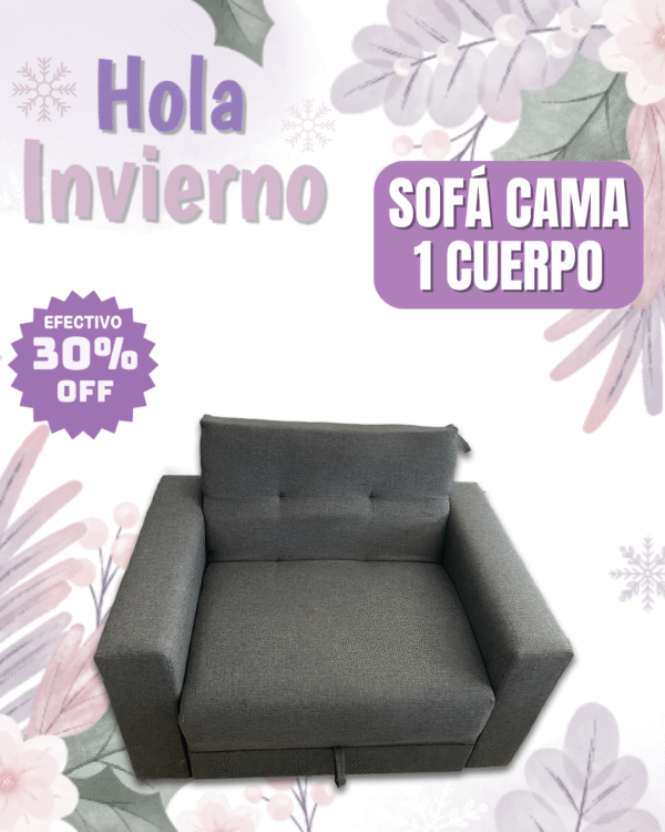 Sofa cama 1 cuerpo 100 (tela alpha)