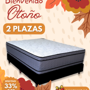 Conjunto Prestige Alfa Resortes 140x190x35