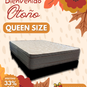 Conjunto Dorado euro 160x190x30