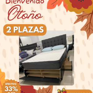 Conjunto Cama Prestige MDF 4 cajones + 2 baúles + zapatero 140x190 + Colchón Nuevo Dorado
